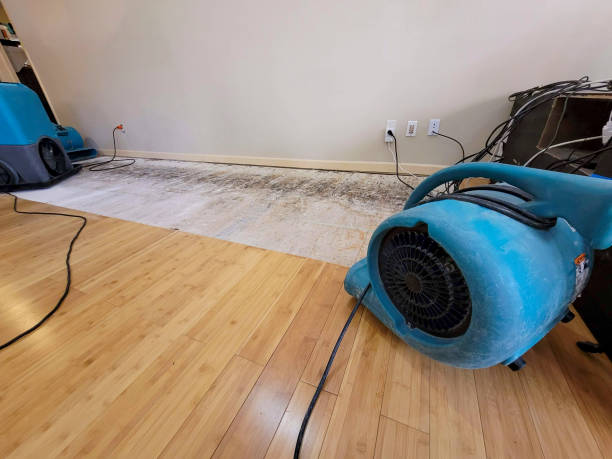 Professional Sewage Cleanup technician working in Albany, NY